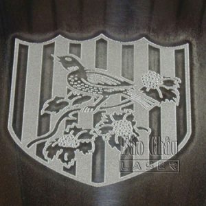 Cắt hoa văn trên da bằng tia laser